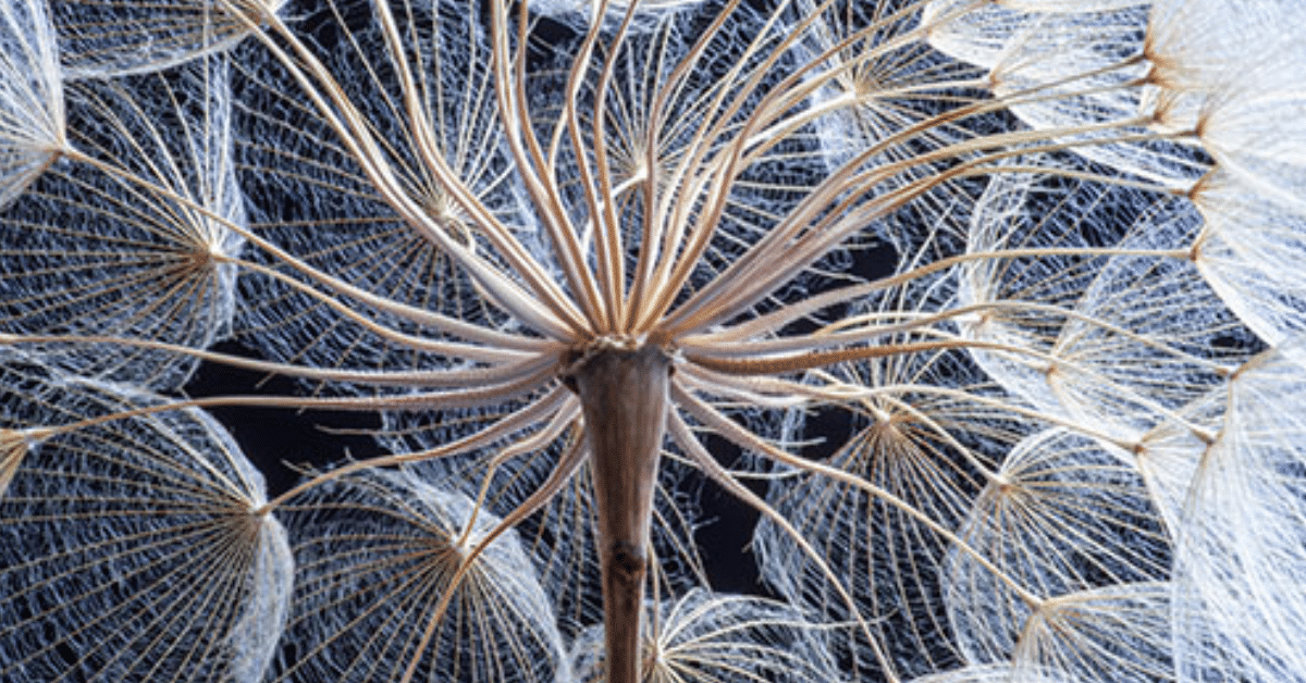 What Insurers Must Consider When Adopting Digital Ecosystems